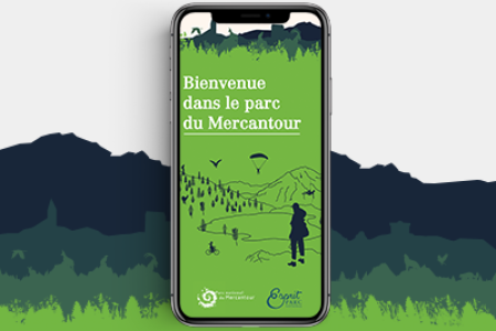 mercantour1